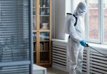 Why Honey Bee Pest Control Requires Professional Expertise