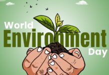 World Environment Day 2026 ESG Activities for Companies