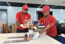 The Smart Relocation Guide: Smooth House Transitions Across New South Wales Removalists Sydney